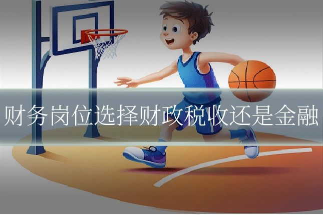 财务岗位选择财政税收还是金融