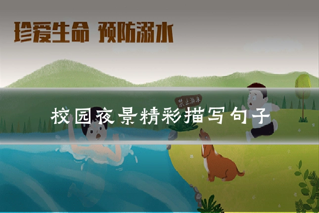 校园夜景精彩描写句子