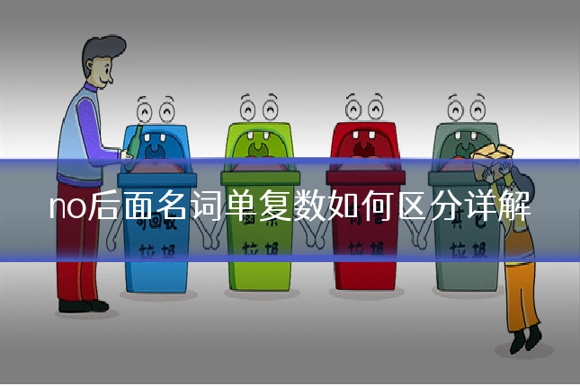 no后面名词单复数如何区分详解