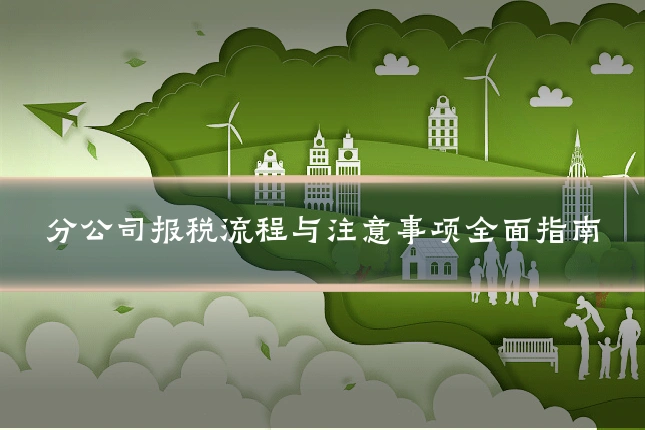分公司报税流程与注意事项全面指南