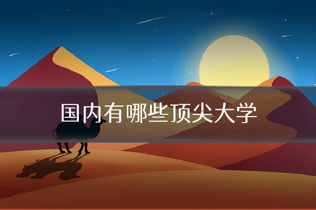 国内有哪些顶尖大学
