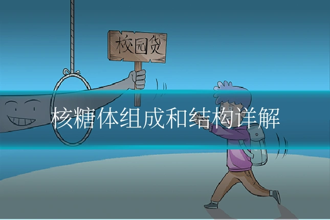 核糖体组成和结构详解