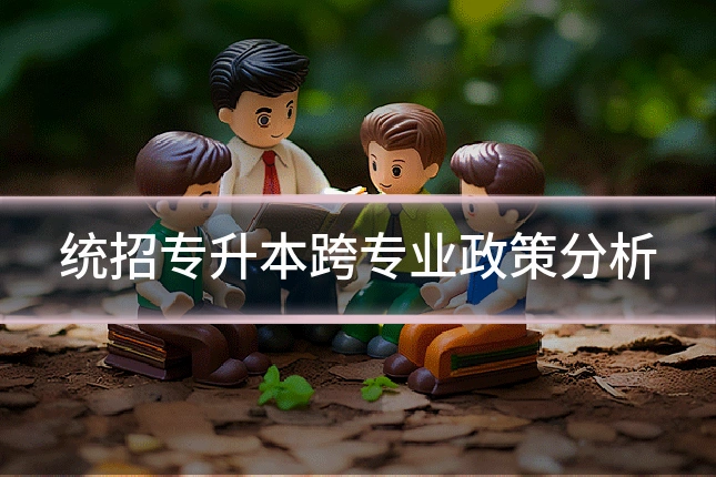 统招专升本跨专业政策分析