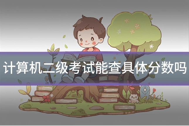 计算机二级考试能查具体分数吗