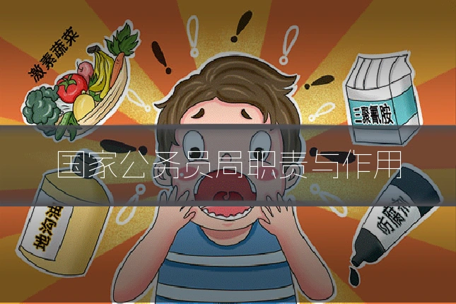 国家公务员局职责与作用