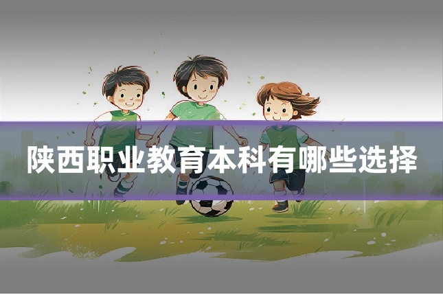 陕西职业教育本科有哪些选择