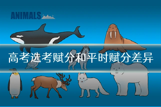 高考选考赋分和平时赋分差异
