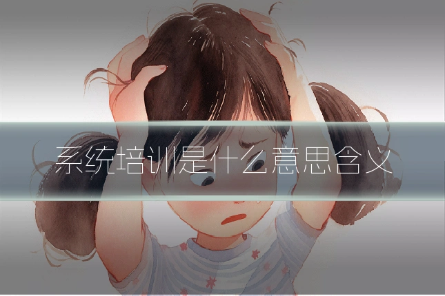 系统培训是什么意思含义