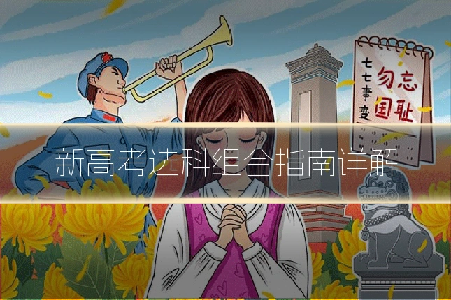 新高考选科组合指南详解
