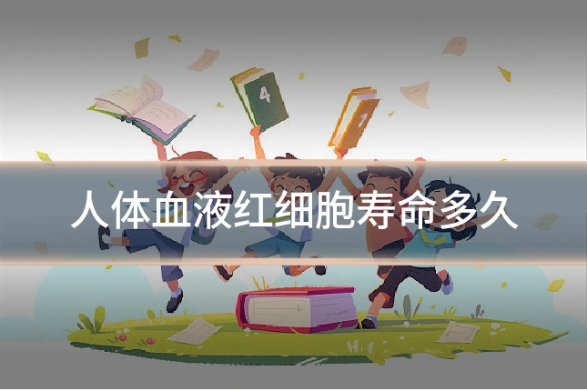 人体血液红细胞寿命多久