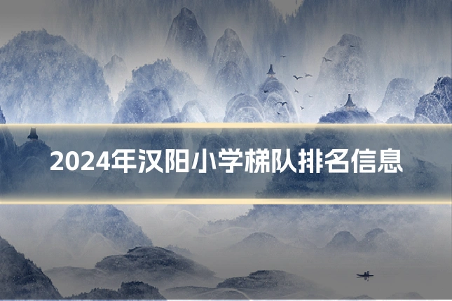 2024年汉阳小学梯队排名信息