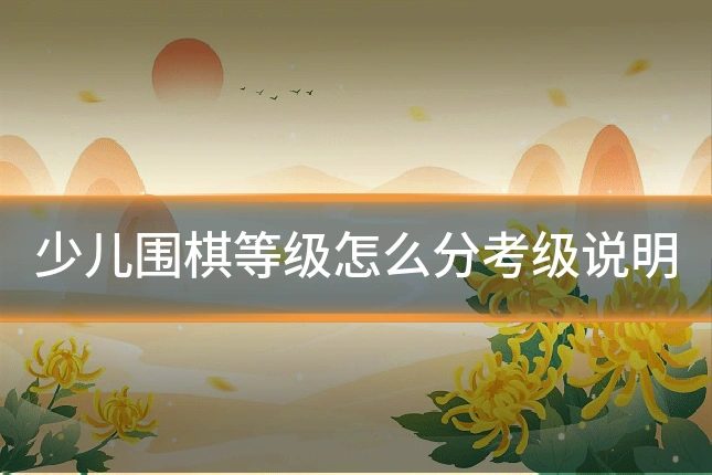 少儿围棋等级怎么分考级说明