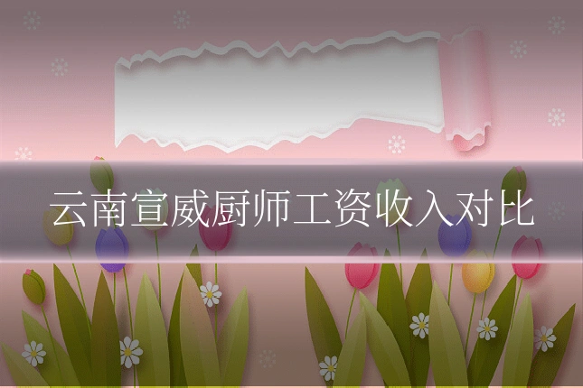 云南宣威厨师工资收入对比