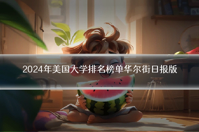 2024年美国大学排名榜单华尔街日报版