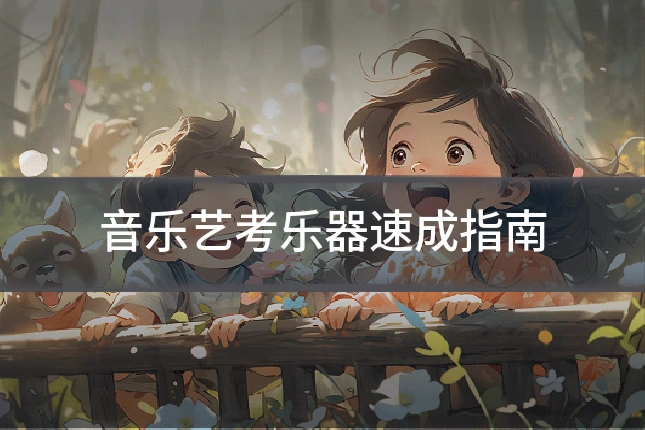 音乐艺考乐器速成指南