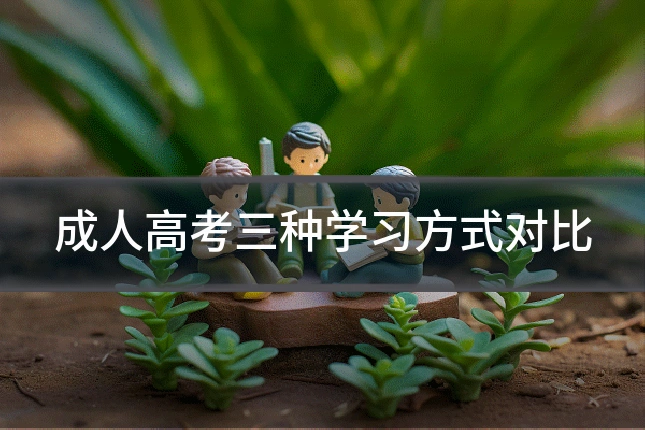 成人高考三种学习方式对比