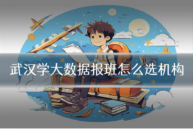 武汉学大数据报班怎么选机构