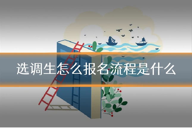 选调生怎么报名流程是什么