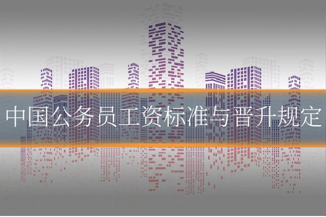 中国公务员工资标准与晋升规定