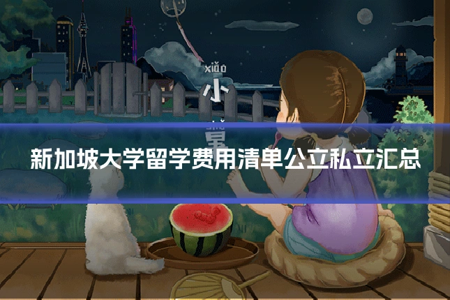 新加坡大学留学费用清单公立私立汇总