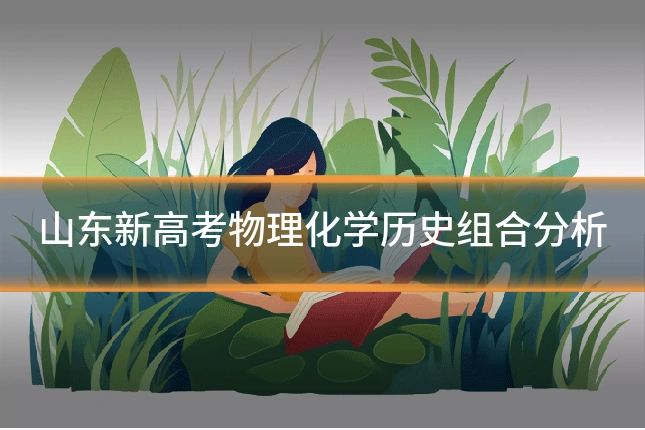 山东新高考物理化学历史组合分析