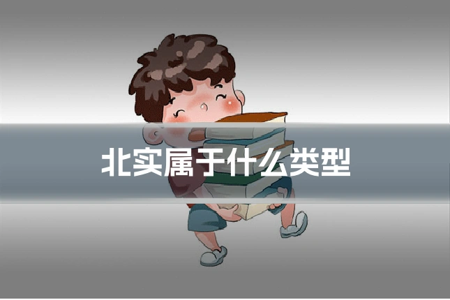 北实属于什么类型