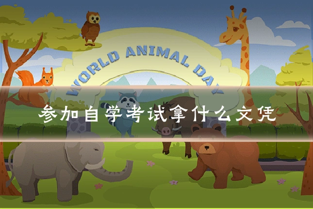 参加自学考试拿什么文凭