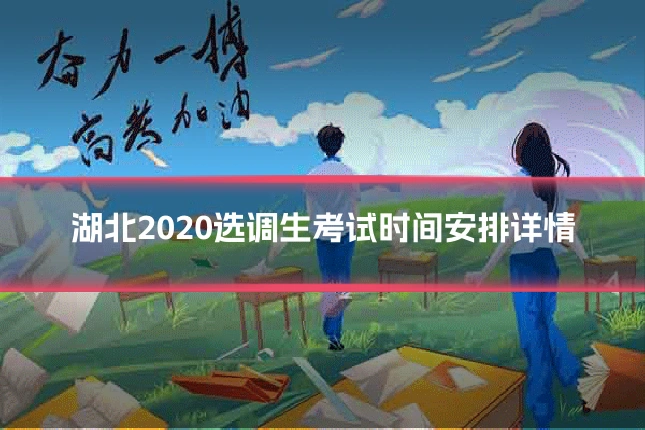 湖北2020选调生考试时间安排详情