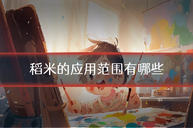 稻米的应用范围有哪些