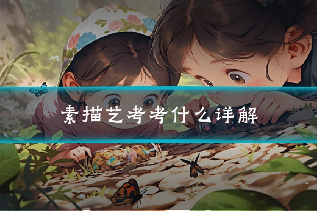 素描艺考考什么详解