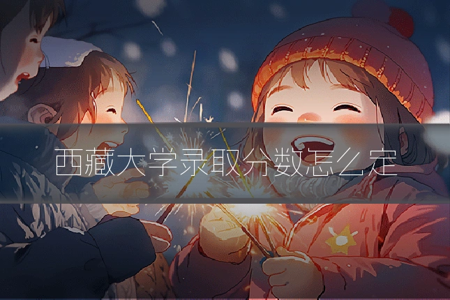 西藏大学录取分数怎么定
