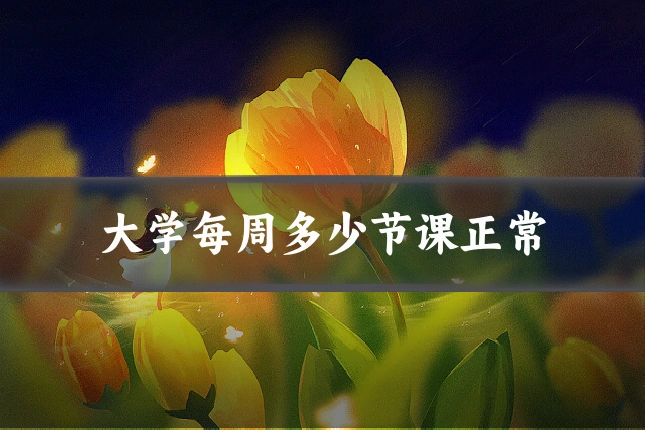 大学每周多少节课正常