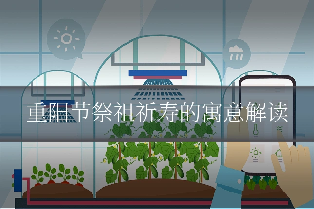 重阳节祭祖祈寿的寓意解读
