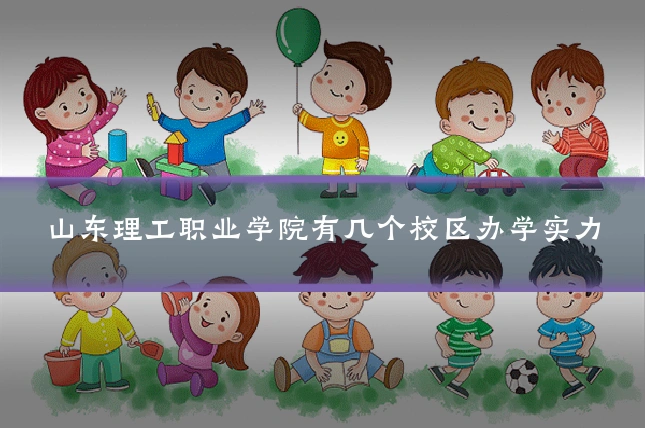 山东理工职业学院有几个校区办学实力