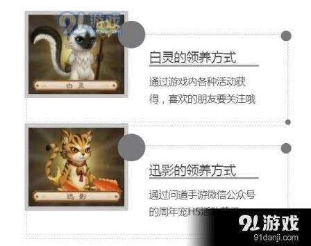 问道周年宠领取方法与技巧攻略