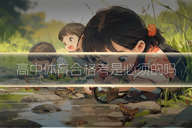高中体育合格考是必须的吗
