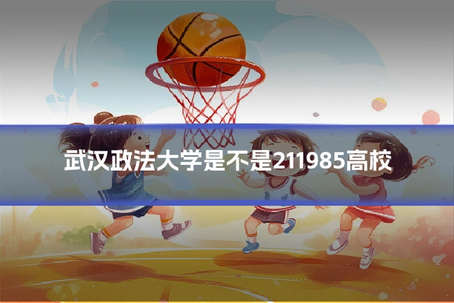 武汉政法大学是不是211985高校