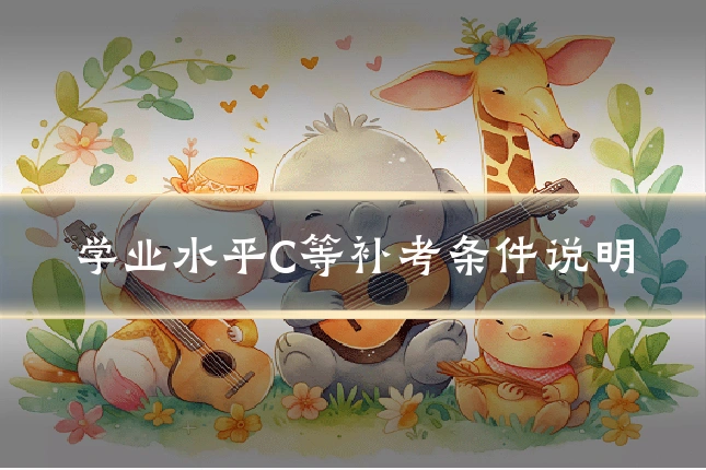 学业水平C等补考条件说明