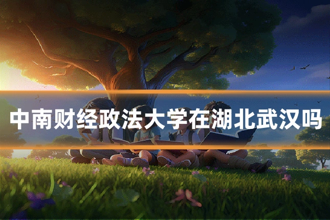 中南财经政法大学在湖北武汉吗