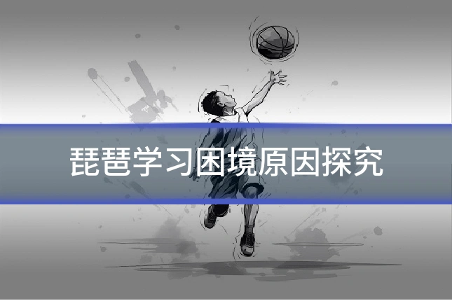 琵琶学习困境原因探究