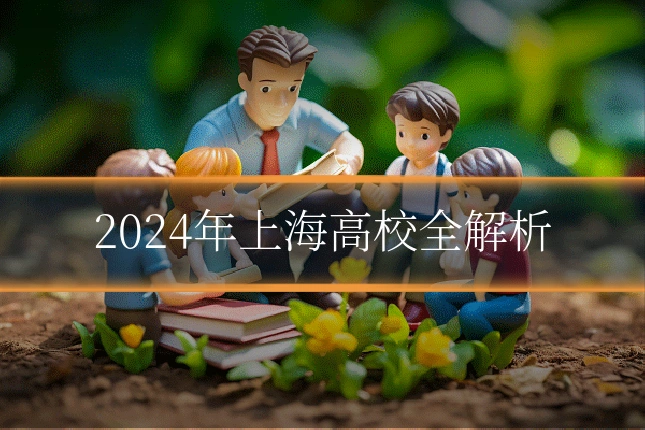2024年上海高校全解析
