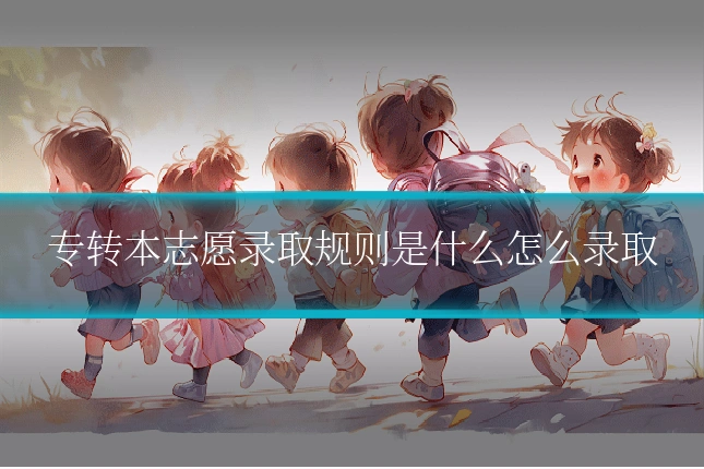 专转本志愿录取规则是什么怎么录取