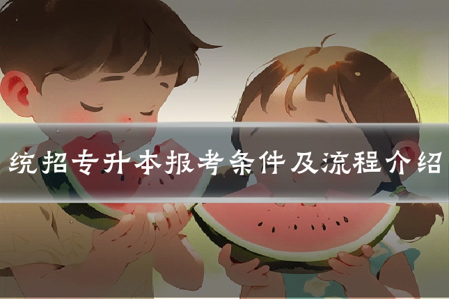 统招专升本报考条件及流程介绍