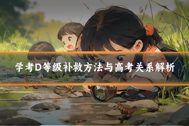 学考D等级补救方法与高考关系解析