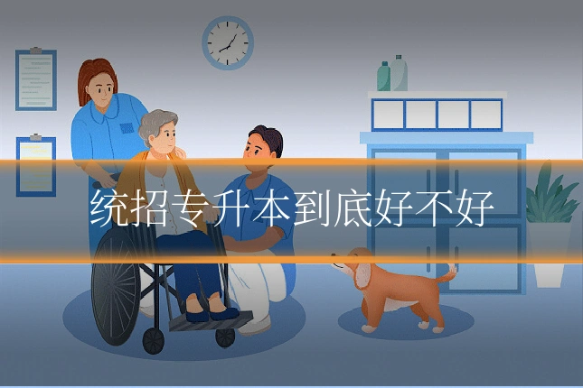 统招专升本到底好不好
