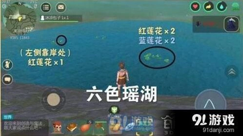《创造与魔法》蓝莲花位置指南