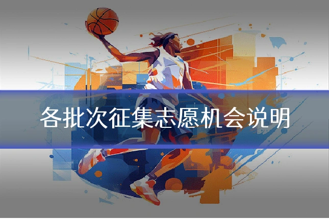 各批次征集志愿机会说明