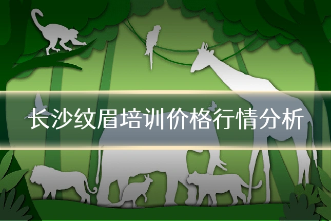 长沙纹眉培训价格行情分析