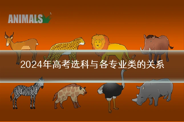 2024年高考选科与各专业类的关系
