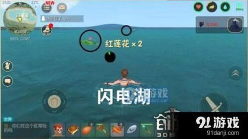 创造与魔法红蓝莲花采集攻略